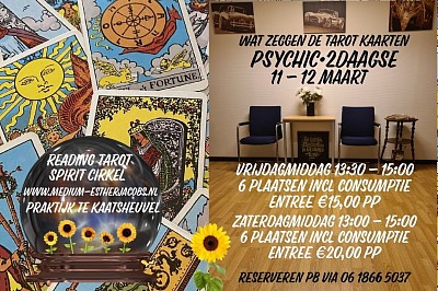 Psychic tarot 2DAAGSE middagen